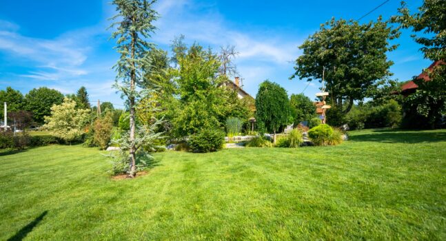 Smart Garden Planning With Tech: The 2025 Ultimate Guide 5 Smart Sprinkler System