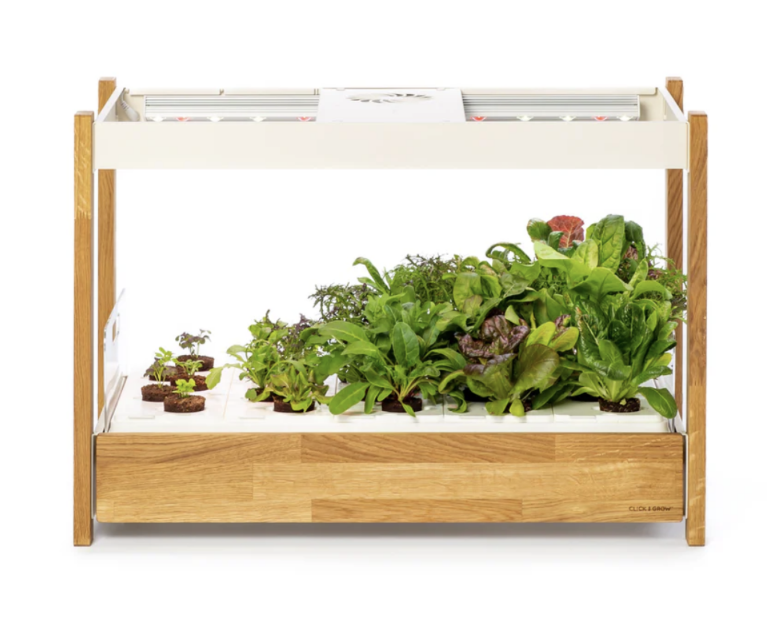 Click and Grow 25 Indoor Planting Station