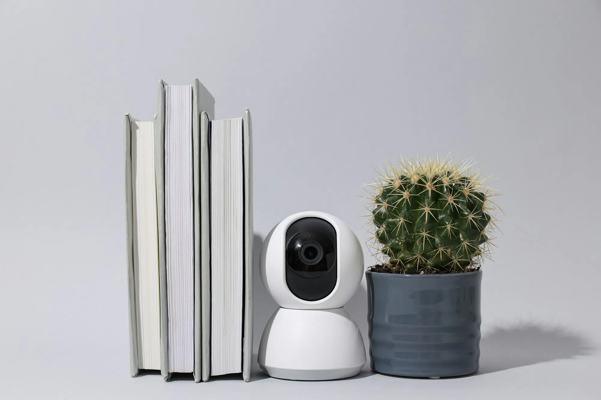 Home Security Camera, Cactus And Books On Gray Background