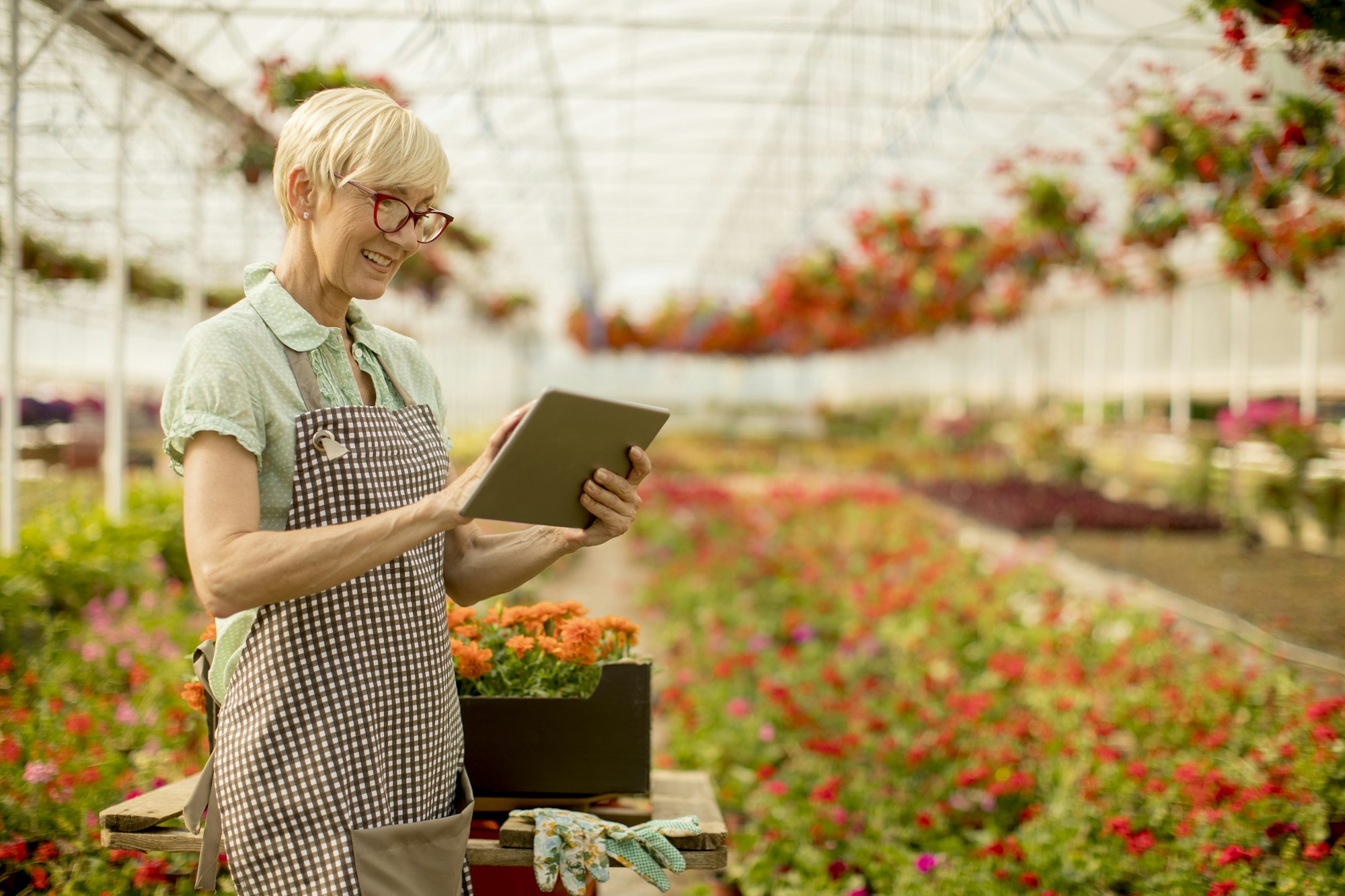 Senior woman using tablet in flower garden