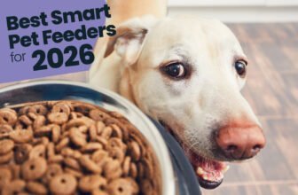 Best Smart Pet Feeders for Nerdy Home Tech
