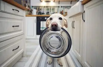 Hungry dog holding bowl and waiting for feeding