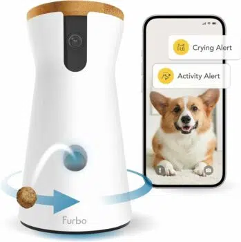 Smart Pet Toys To Keep Your Pet Engaged: A Pet Lover'S Guide