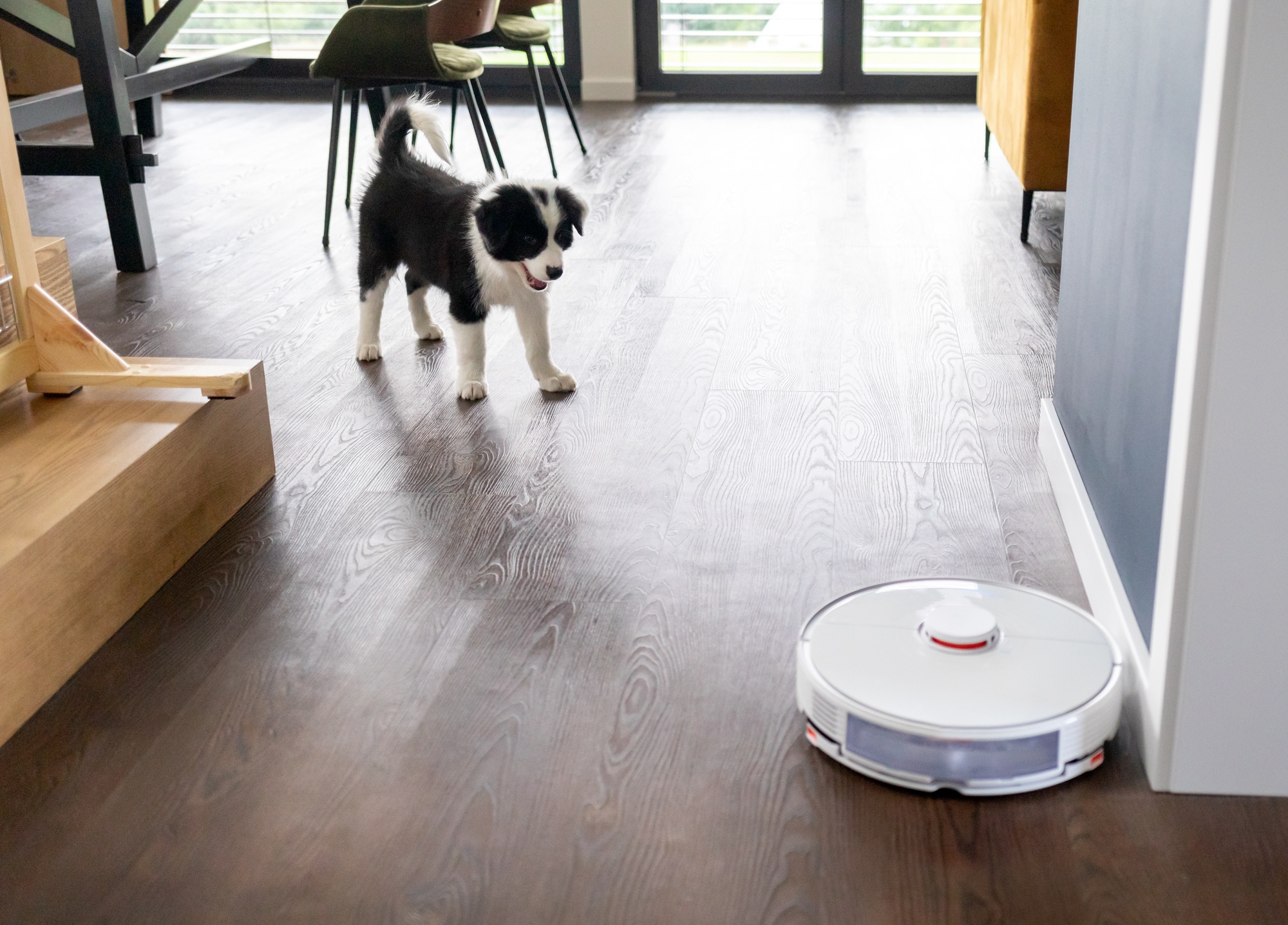 find the best smart vacs for pet hair