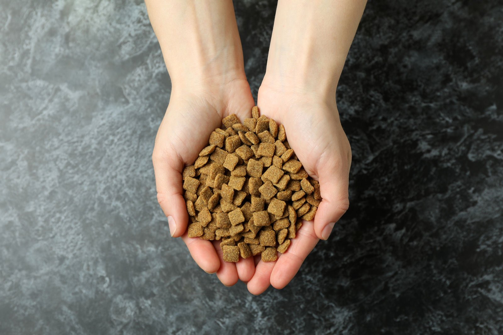 Best Smart Pet Feeders For 2026: A Straightforward Guide To Picking Tools That Actually Work 3 Smart Pet Feeders Kibble Size And Shape Matters