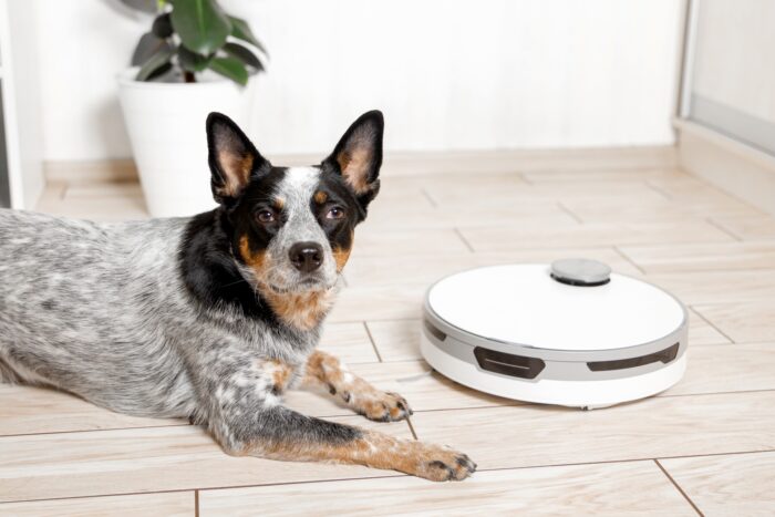 Best Pet-Friendly Smart Vacuums: The Best Solution for Pet Hair