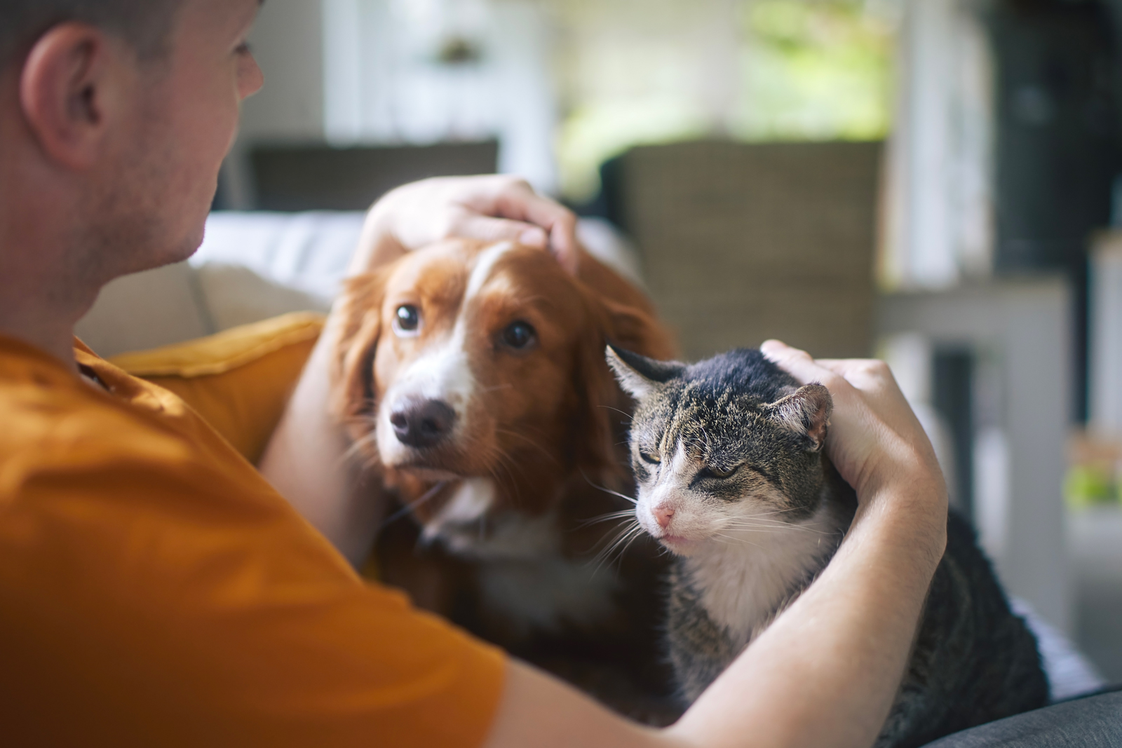 Stronger pet bonds with happier lives